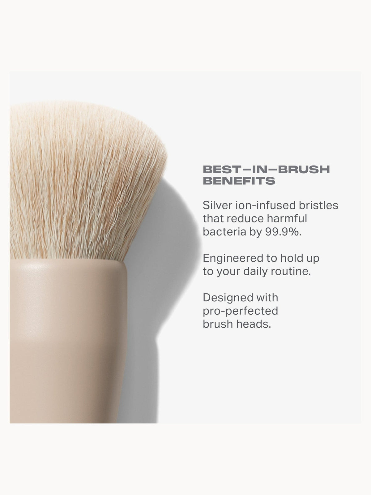 Morphe Custom Blends 12 Piece Face & Eye Brush Set
