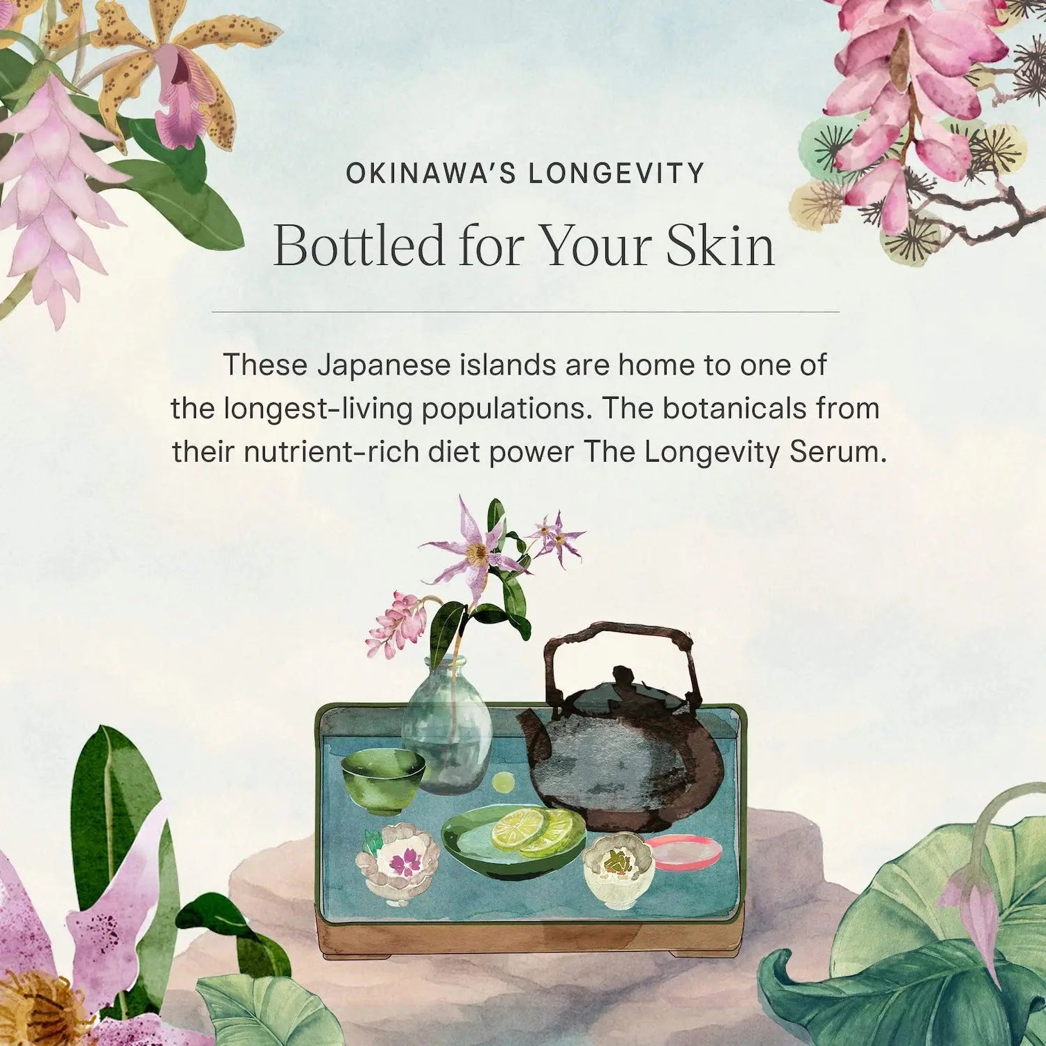 Tatcha The Longevity Skin Strength + Resilience Serum for Visible Firming and Smoothing