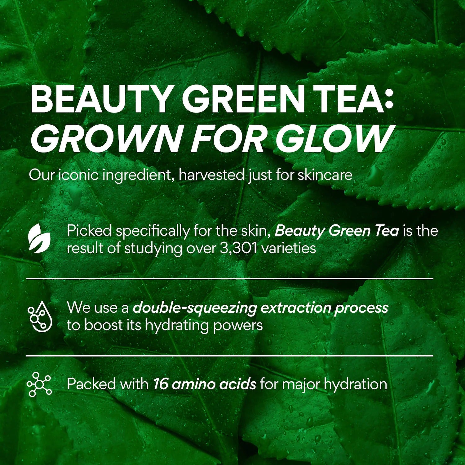Innisfree Green Tea Caffeine Korean Eye Serum For Hydration & Puffiness    
