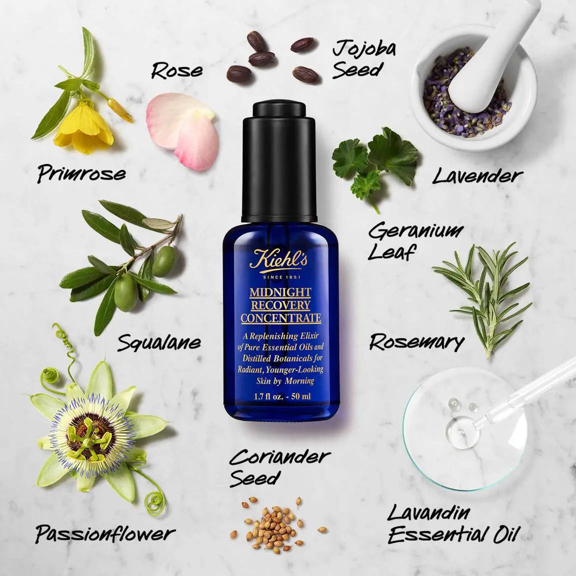 Kiehl's Midnight Recovery Concentrate Moisturizing Face Oil Serum    
