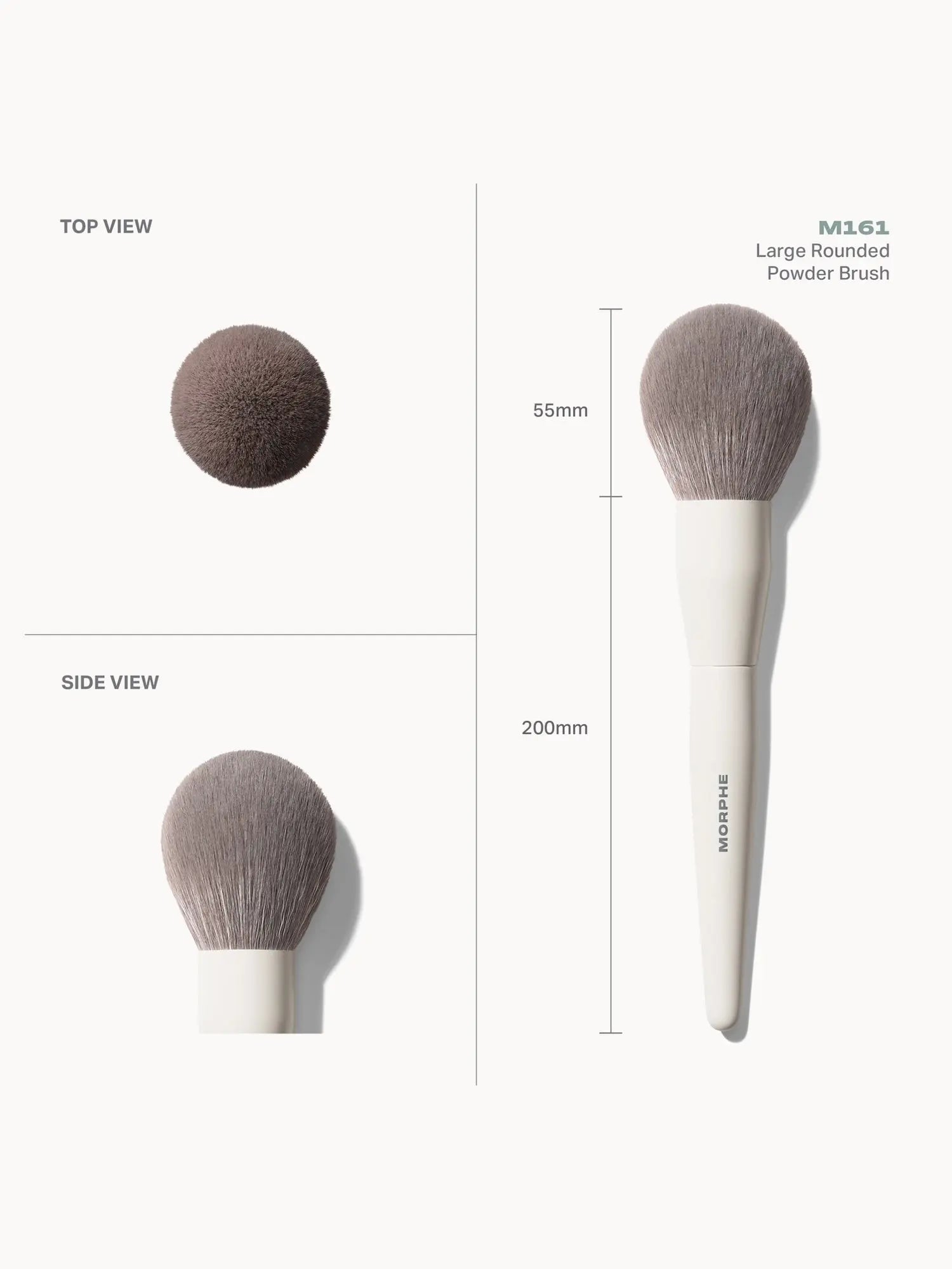 Morphe M161 Large Rounded Powder Brush    