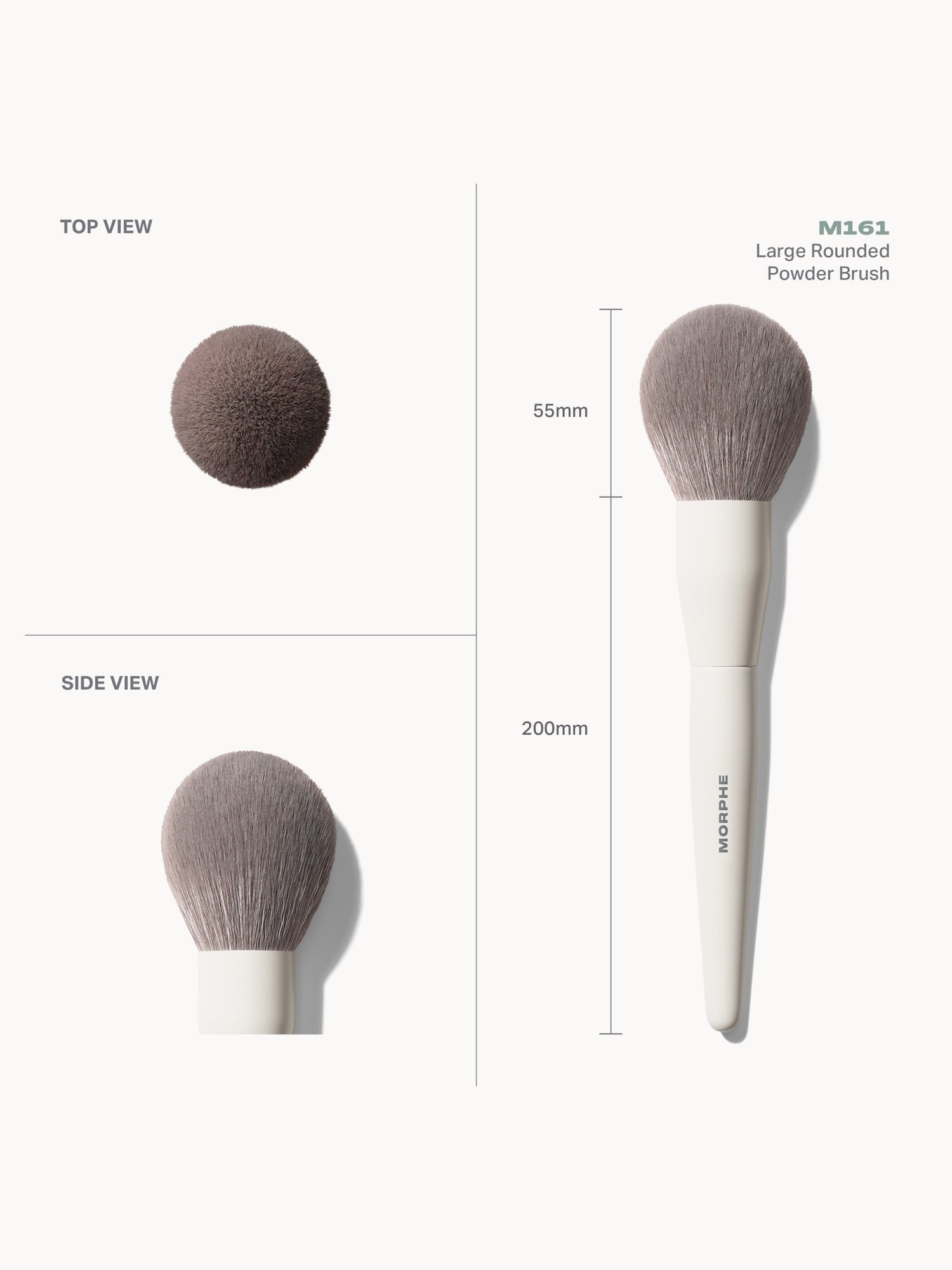 Morphe M161 Large Rounded Powder Brush    